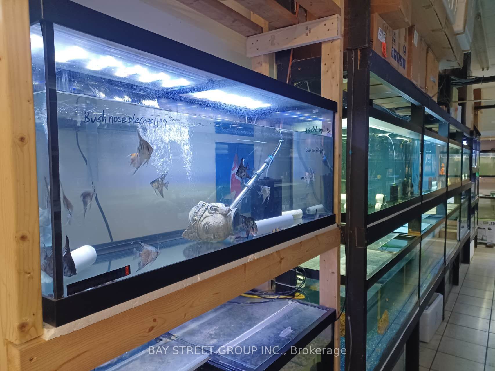 Commercial Property, 1160 Albion Rd, Toronto