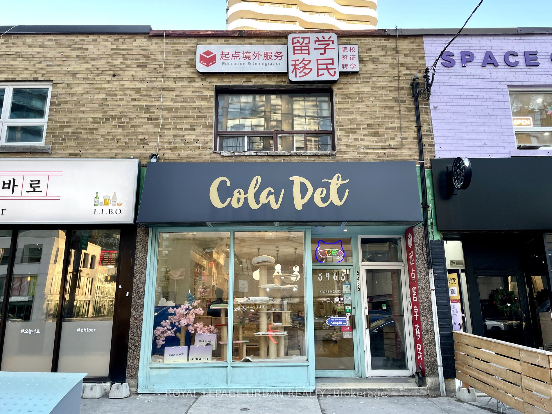 5465 Yonge St, Toronto